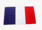 Bandeiras e Portable feito-à-medida impermeáveis 100% das bandeiras estilo entregando de nylon fornecedor